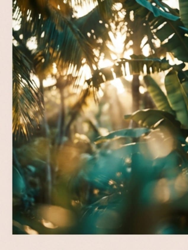 Sunlight through subtropical leaves